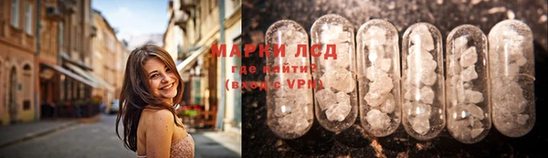 крисы Алзамай