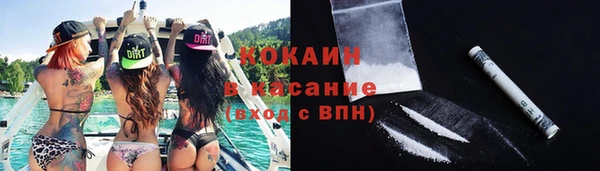 твердый Арсеньев