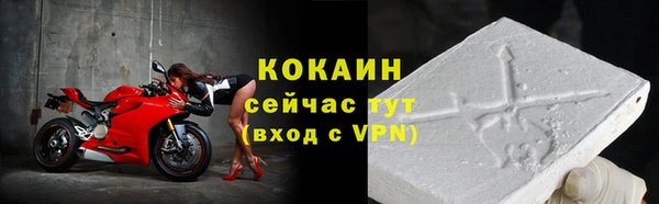 твердый Арсеньев