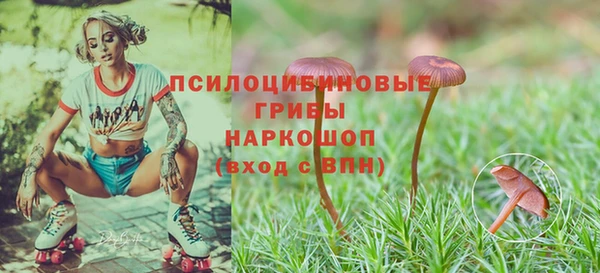твердый Арсеньев