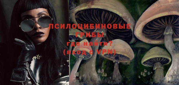 твердый Арсеньев
