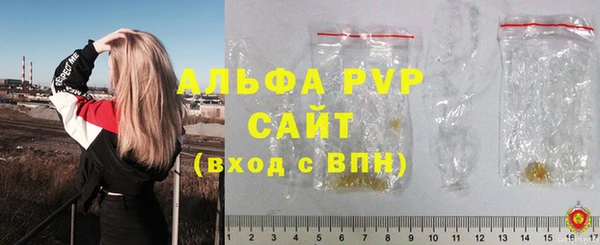 твердый Арсеньев