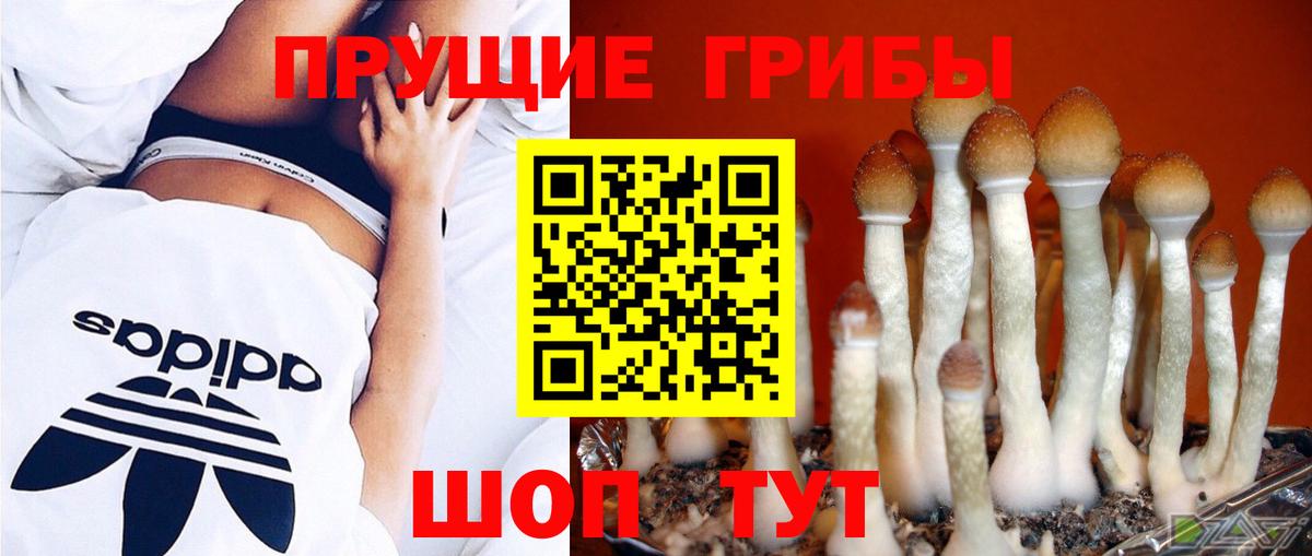Фролово  Галлюциногенные грибы Magic Shrooms  Псилоцибиновые грибы ЛСД  Вход с VPN 