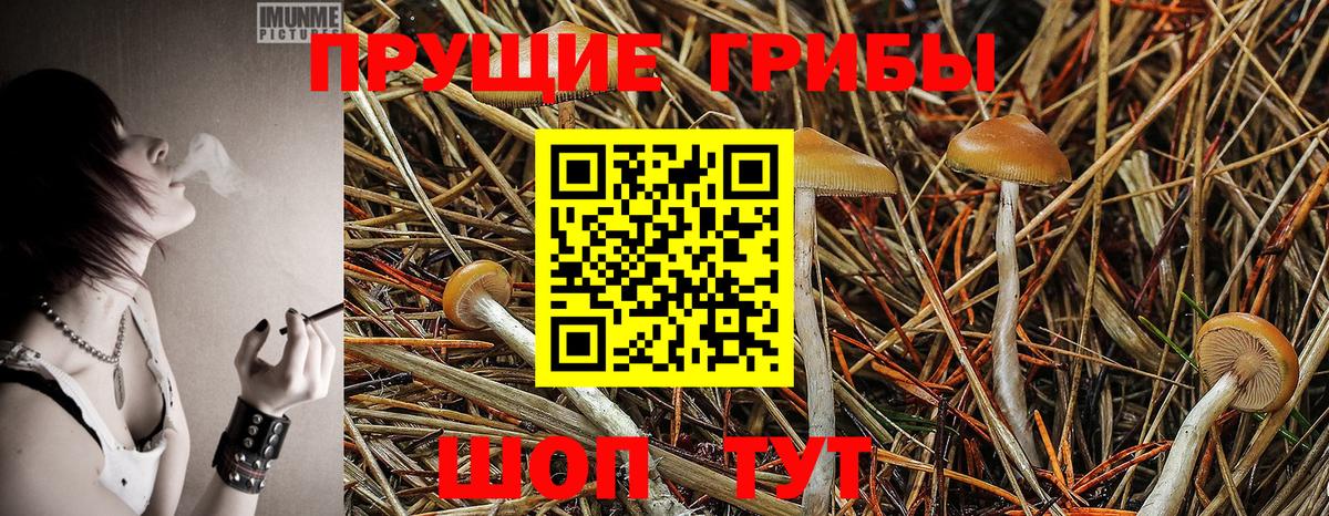 Галлюциногенные грибы мицелий Фролово
